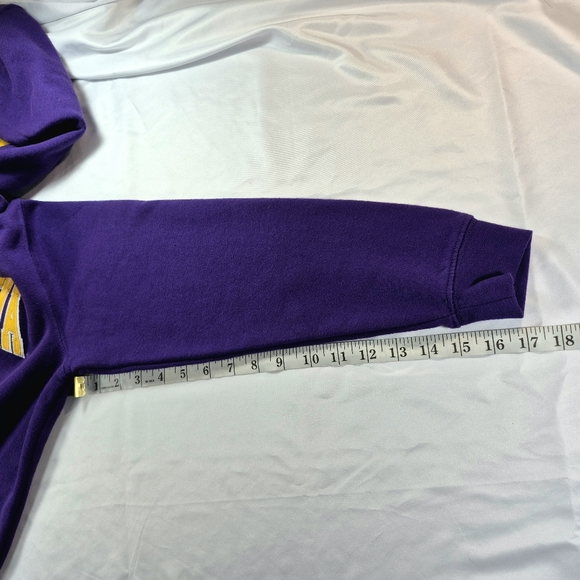 Starter Athletics ECU Pirates Arch Logo Pullover Hoodie Youth M 12-14 Purple - Picture 9 of 10